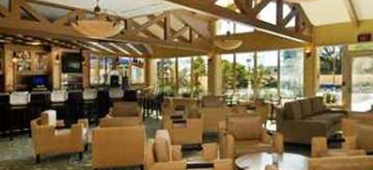 Hotel Hilton Tampa Airport Westshore:  TAMPA (FL)