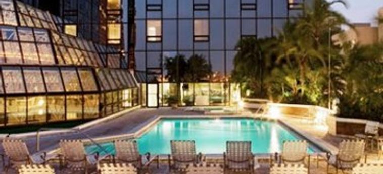 Hotel Hilton Tampa Downtown:  TAMPA (FL)