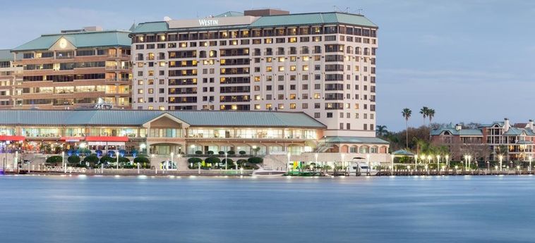 Hotel The Westin Tampa Waterside:  TAMPA (FL)
