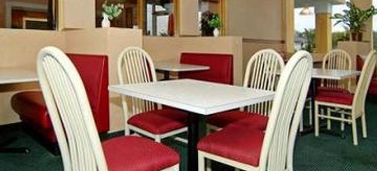 Hotel Quality Inn Busch Gardens Tampa (Fl) : Photo 
