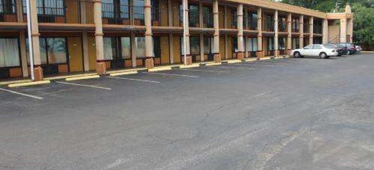 Hotel Travelodge Near Busch Gardens Tampa (Fl): Foto 