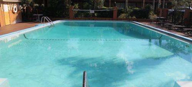 Hotel Travelodge Near Busch Gardens Tampa (Fl): Foto 