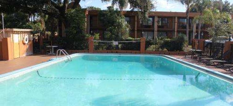 Hotel Travelodge Near Busch Gardens Tampa (Fl): Foto 