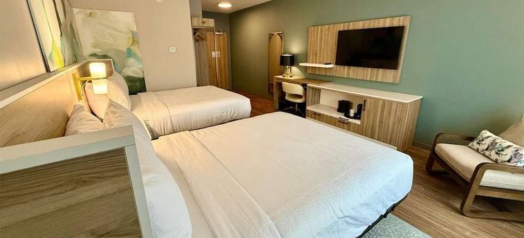 Hotel Wyndham Garden Tampa Fairgrounds/Casino Tampa (Fl): Foto 