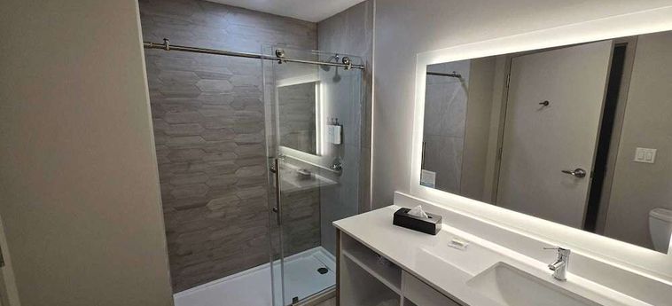 Hotel Wyndham Garden Tampa Fairgrounds/Casino Tampa (Fl): Foto 