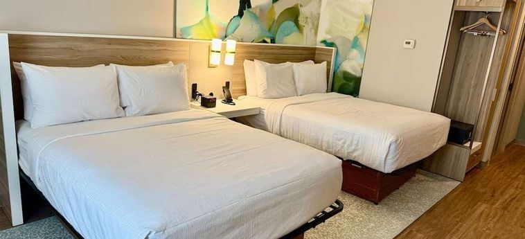 Hotel Wyndham Garden Tampa Fairgrounds/Casino Tampa (Fl): Foto 