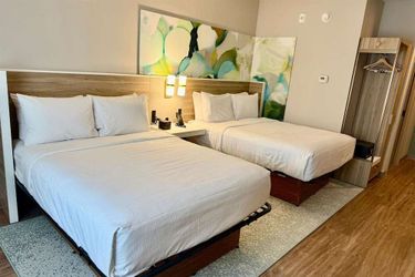Hotel Wyndham Garden Tampa Fairgrounds/Casino Tampa (Fl): Photo 