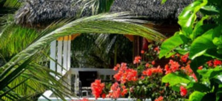 Hotel Tanna Evergreen Resort & Tours:  TANNA