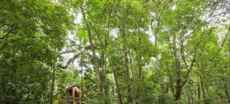 THE CANOPY RAINFOREST TREEHOUSES AND WILDLIFE SANCTUARY 4 Stelle