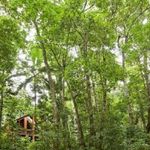 THE CANOPY RAINFOREST TREEHOUSES AND WILDLIFE SANCTUARY 4 Stars