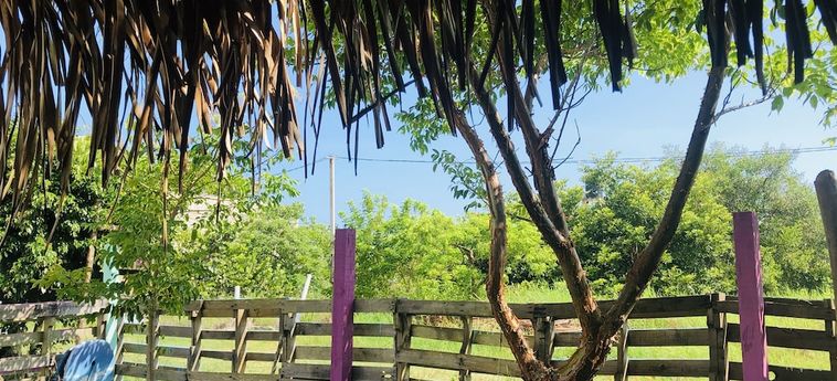 Hotel Hotchtel Glamping By Rotamundos Tecolutla - Veracruz: Foto 