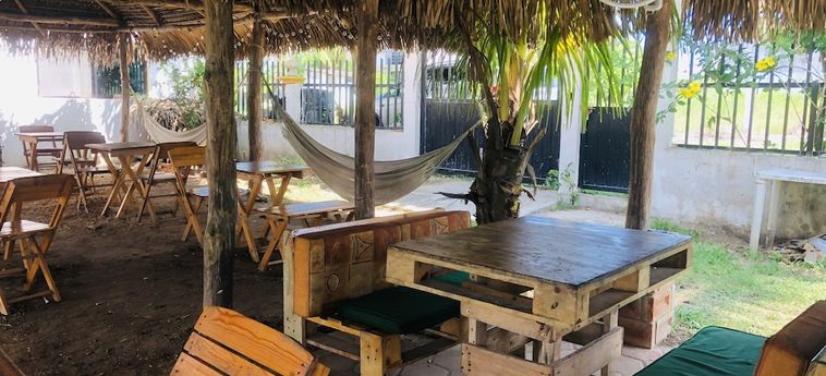 Hotel Hotchtel Glamping By Rotamundos Tecolutla - Veracruz : Photo 