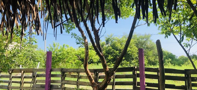 Hotel Hotchtel Glamping By Rotamundos Tecolutla - Veracruz: Foto 