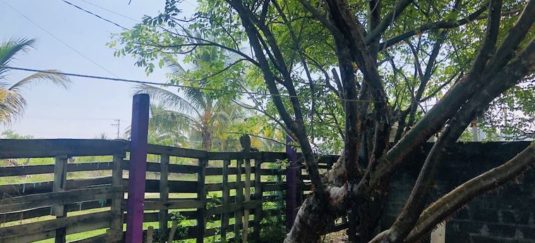 Hotel Hotchtel Glamping By Rotamundos Tecolutla - Veracruz: Photo 