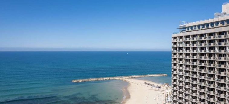 Hotel Hilton Tel Aviv Tel Aviv : Photo 