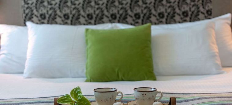 Herods Hotel Tel Aviv Tel Aviv : Photo 