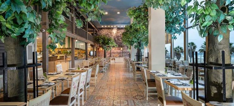 Herods Hotel Tel Aviv Tel Aviv : Photo 