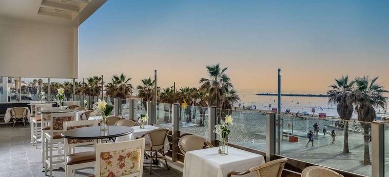 Herods Hotel Tel Aviv Tel Aviv : Photo 