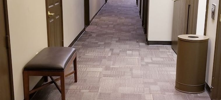 Hotel City Express By Marriott Tempe Tempe (Az): Foto 