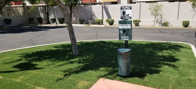 Hotel City Express By Marriott Tempe Tempe (Az): Foto 