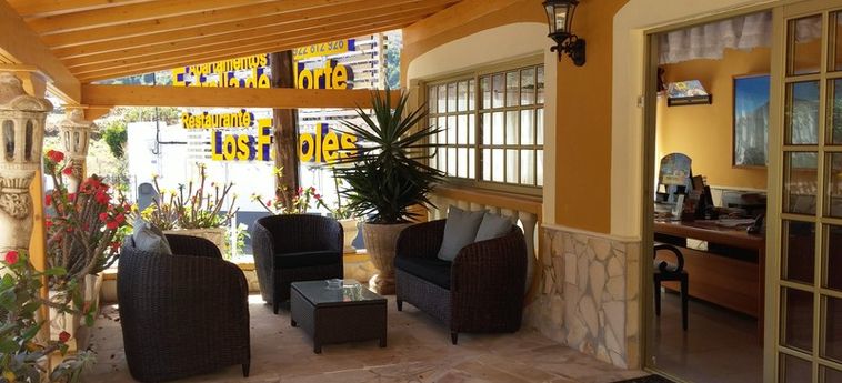 Hotel Estrella Del Norte Apartamentos:  TENERIFE - CANARIAS