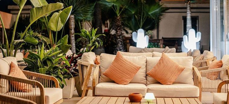 Hotel Atlantic Holiday  Tenerife - Canarias: Foto 