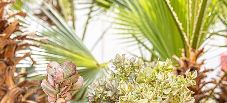 Hotel Atlantic Holiday  Tenerife - Canarias: Foto 