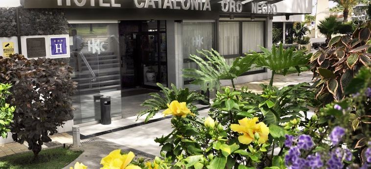 Hotel Catalonia Oro Negro:  TENERIFE - ILES CANARIES