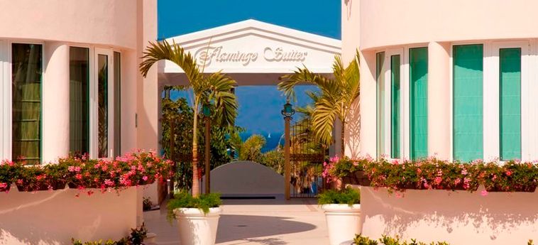 Hotel Flamingo Suites:  TENERIFE - ISOLE CANARIE