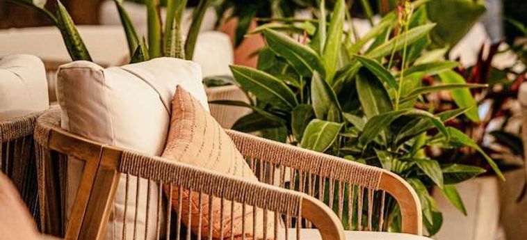 Hotel Atlantic Holiday  Tenerife - Isole Canarie: Foto 