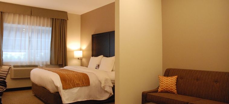 Hotel Comfort Inn &Amp; Suites Terrace: Foto 