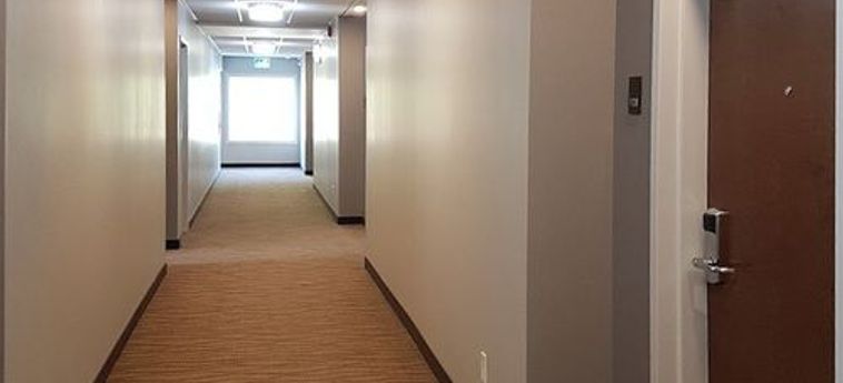 Hotel Comfort Inn &Amp; Suites Terrace: Foto 