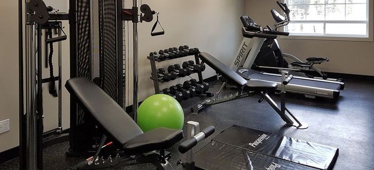 Hotel Comfort Inn &Amp; Suites Terrace: Foto 