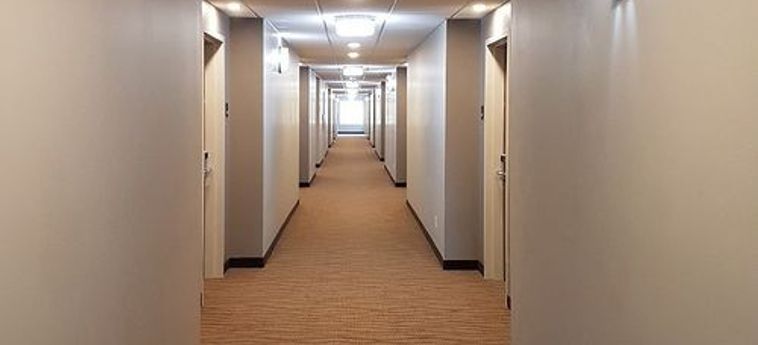 Hotel Comfort Inn &Amp; Suites Terrace: Foto 