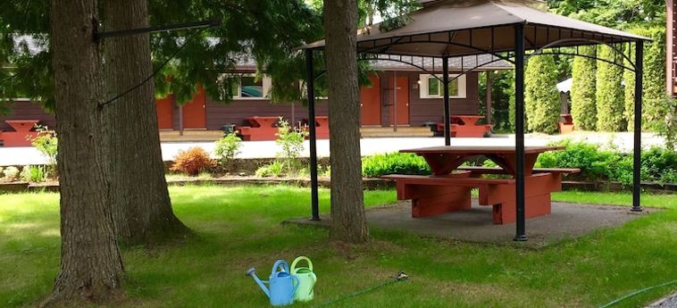 Hotel Copper River Motel Terrace: Foto 