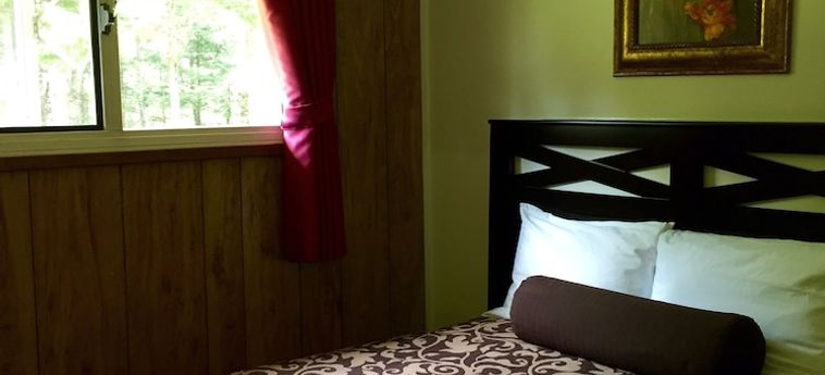 Hotel Copper River Motel Terrace: Foto 