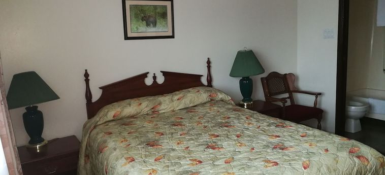 Hotel Northern Motor Inn Terrace: Foto 