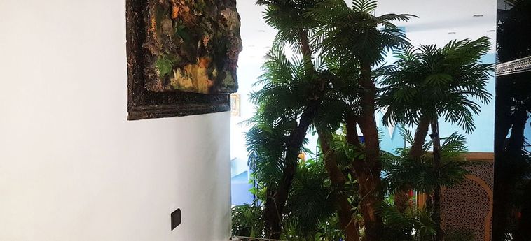 Hotel Riad Tetouan Tetouan : Photo 