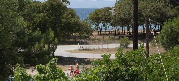 America Hotel Thassos Island : Photo 
