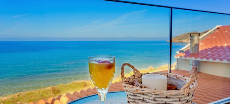 Hotel Thalassa Beachfront Villa With Private Pool Thassos Island : Photo 