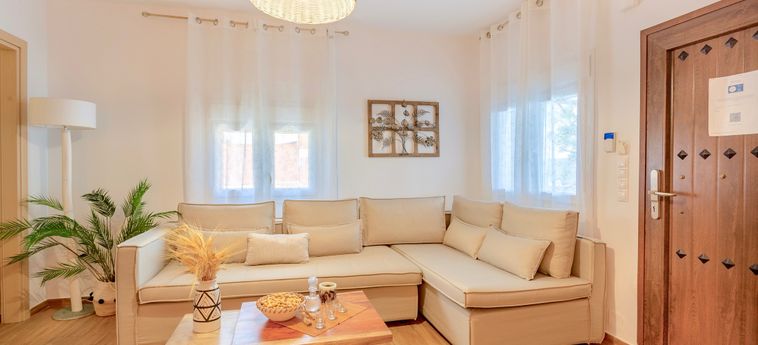 Hotel Thalassa Beachfront Villa With Private Pool Thassos Island : Photo 