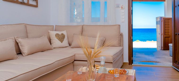 Hotel Thalassa Beachfront Villa With Private Pool Thassos Island : Photo 