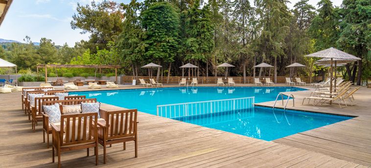 Hotel Ζoe Ηotel Thassos Island: Foto 