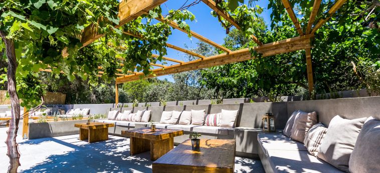 Hotel Ζoe Ηotel Thassos Island : Photo 