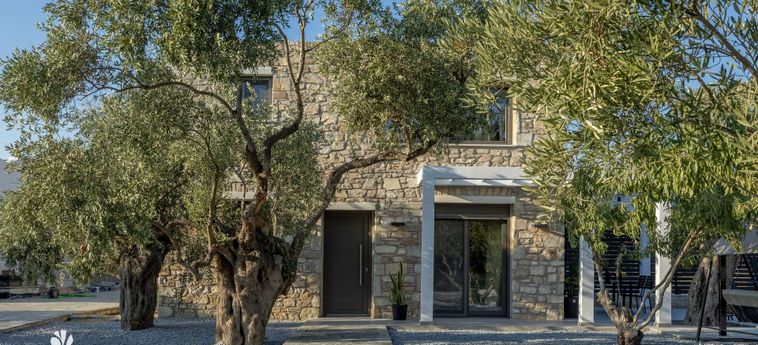 Hotel Elia Stone Villas Thassos Island: Photo 