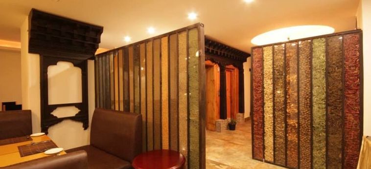 Hotel Dorji Elements:  THIMPHU