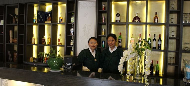 Pedling Hotel Thimphu: Foto 