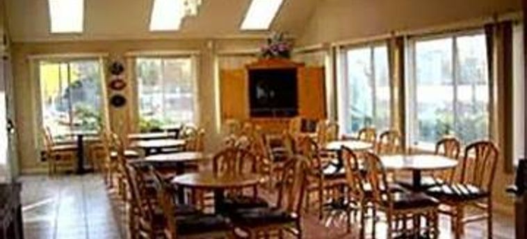 Hotel Comfort Inn & Suites Sequoia Kings Canyon:  THREE RIVERS (CA)