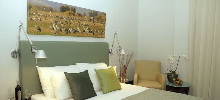 Hotel Prima Galil Tiberias Tiberias : Photo 