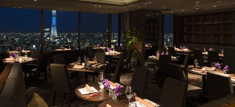 Hotel Asakusa View:  TOKYO